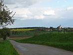 Třibřichy