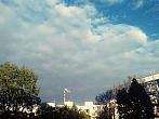 Borovina
