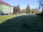 Borovina