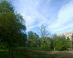 Borovina