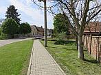 Třibřichy