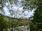 Borovina