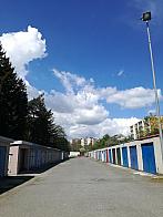 Borovina