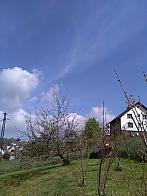 Skalité