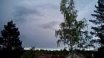 Borovina