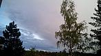 Borovina