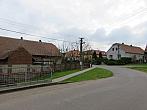 Třibřichy