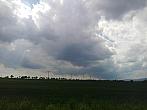 Vrskmaň