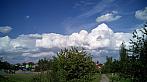 Borovina