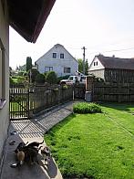 Třibřichy