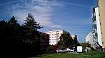 Borovina