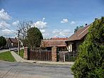 Třibřichy