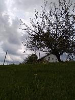 Skalité