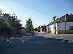 Třibřichy