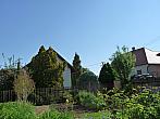 Třibřichy