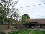 Třibřichy