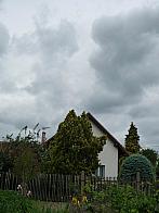 Třibřichy