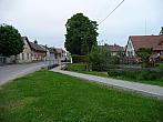 Třibřichy
