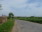 Třibřichy