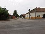 Třibřichy