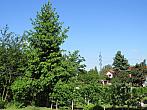 Neratovice