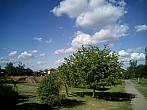 Borovina