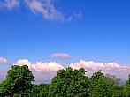 Fotografie