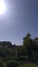 Vejvanovice