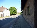 Třibřichy