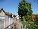 Třibřichy