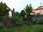 Třibřichy