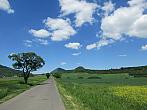 Podsedice