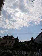 Třibřichy
