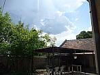 Třibřichy