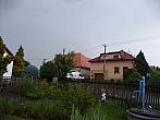 Třibřichy