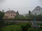 Třibřichy