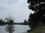 Neratovice