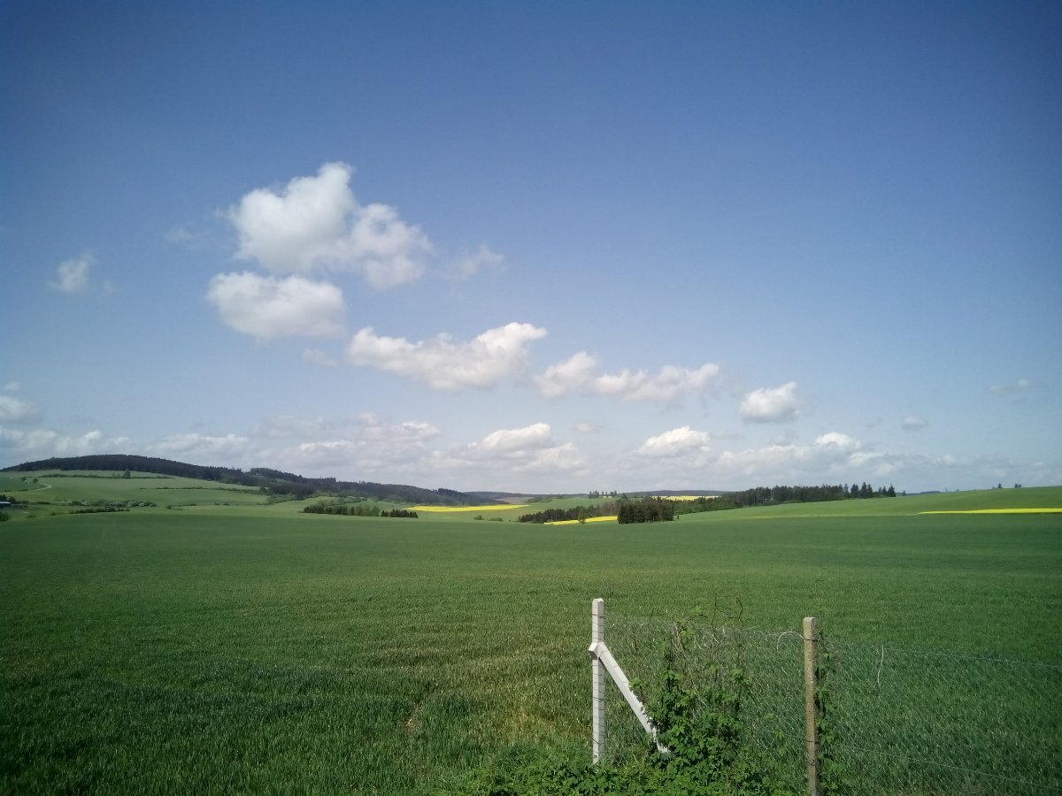 Markvartice