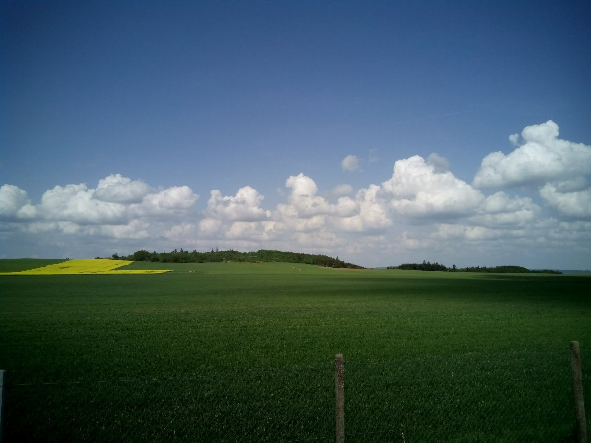 Markvartice