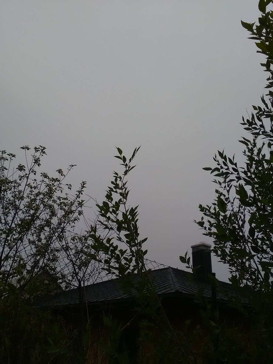 Skalité
