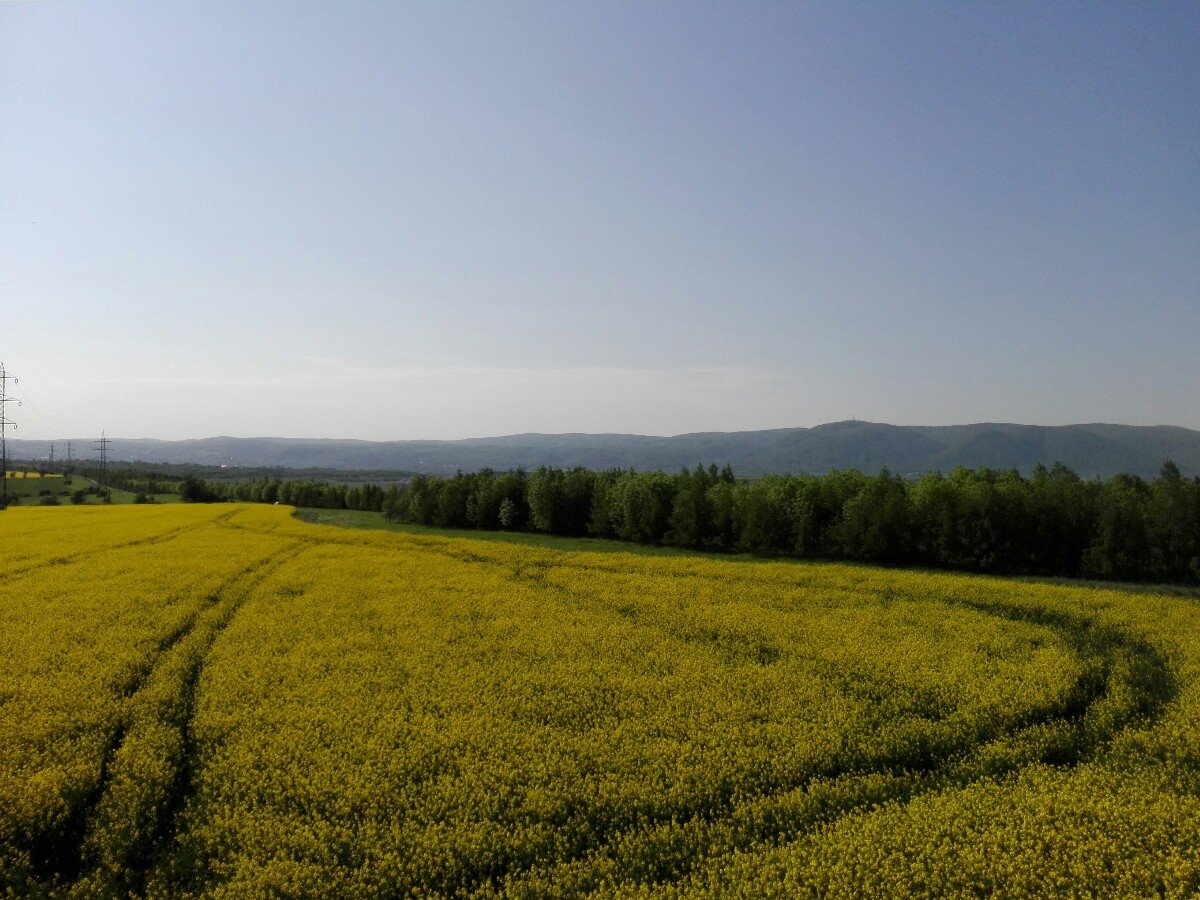 Strupčice