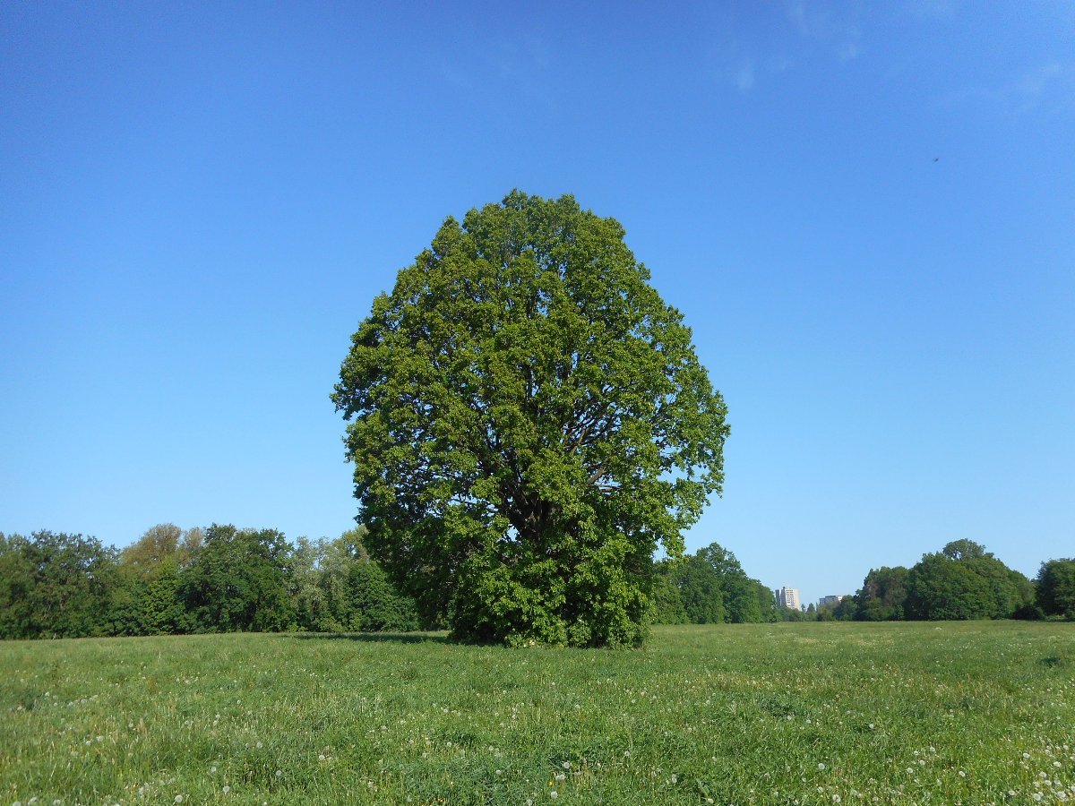 Hradec Králové - Třebeš