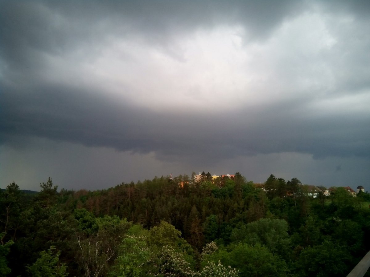 Borovina