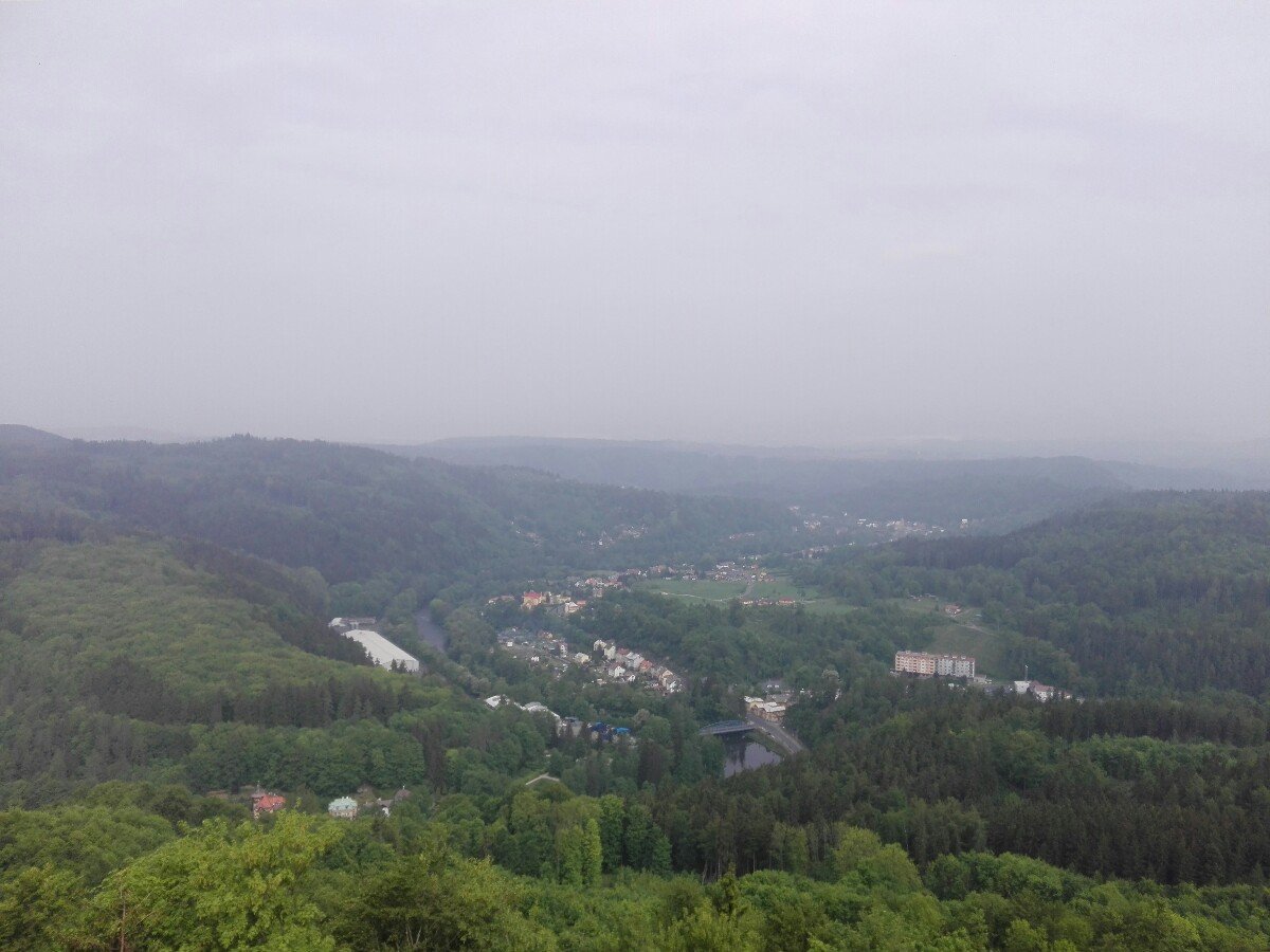 Bučina