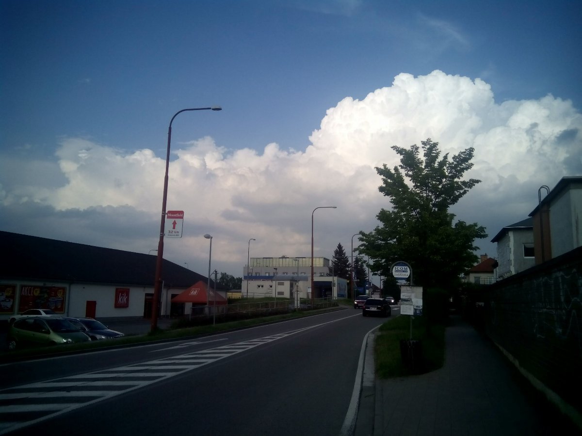Borovina