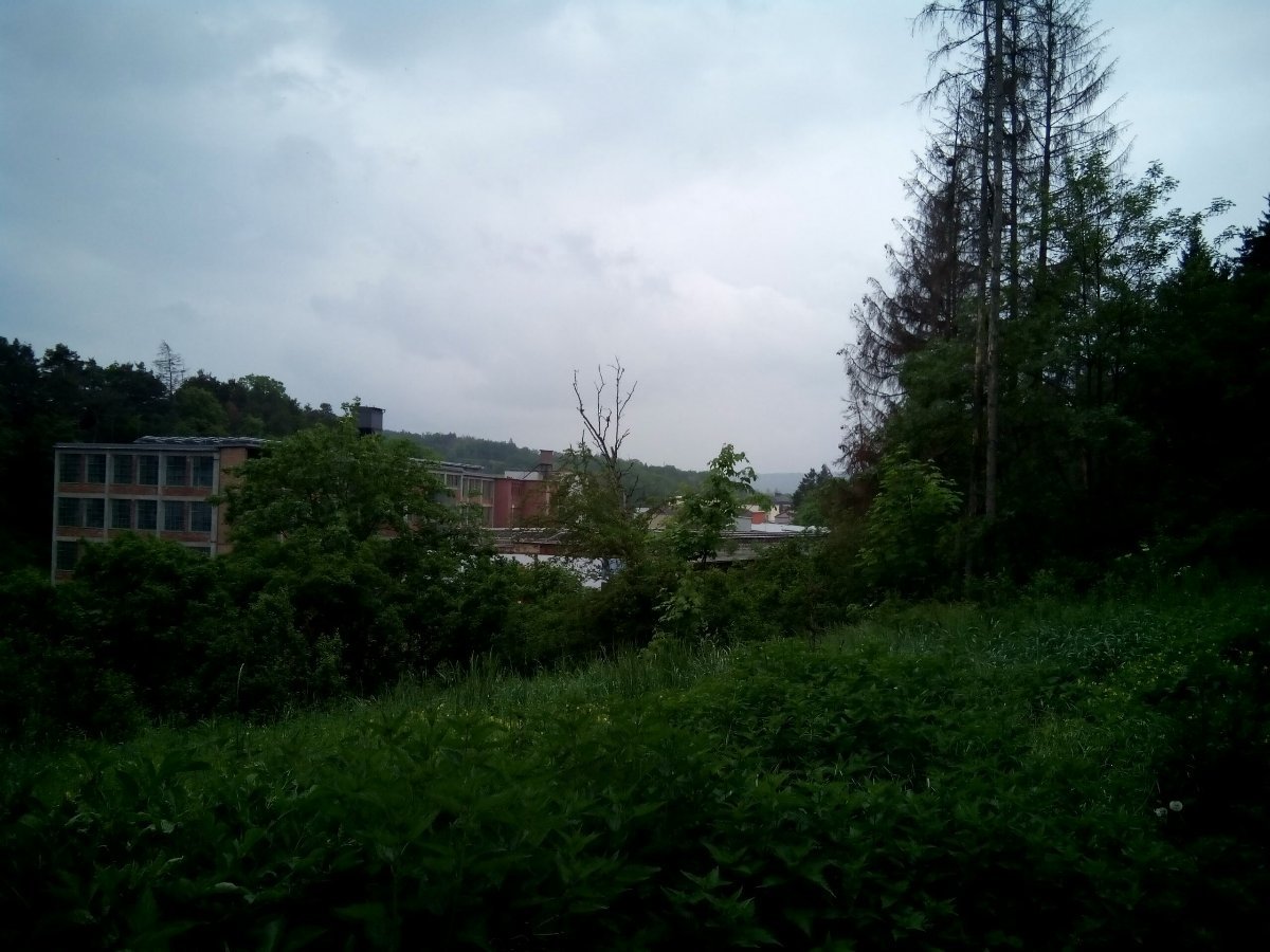 Borovina