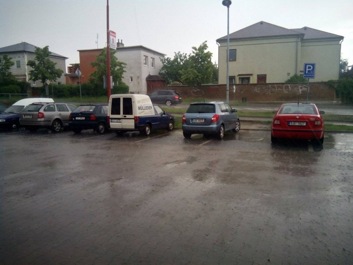 Borovina