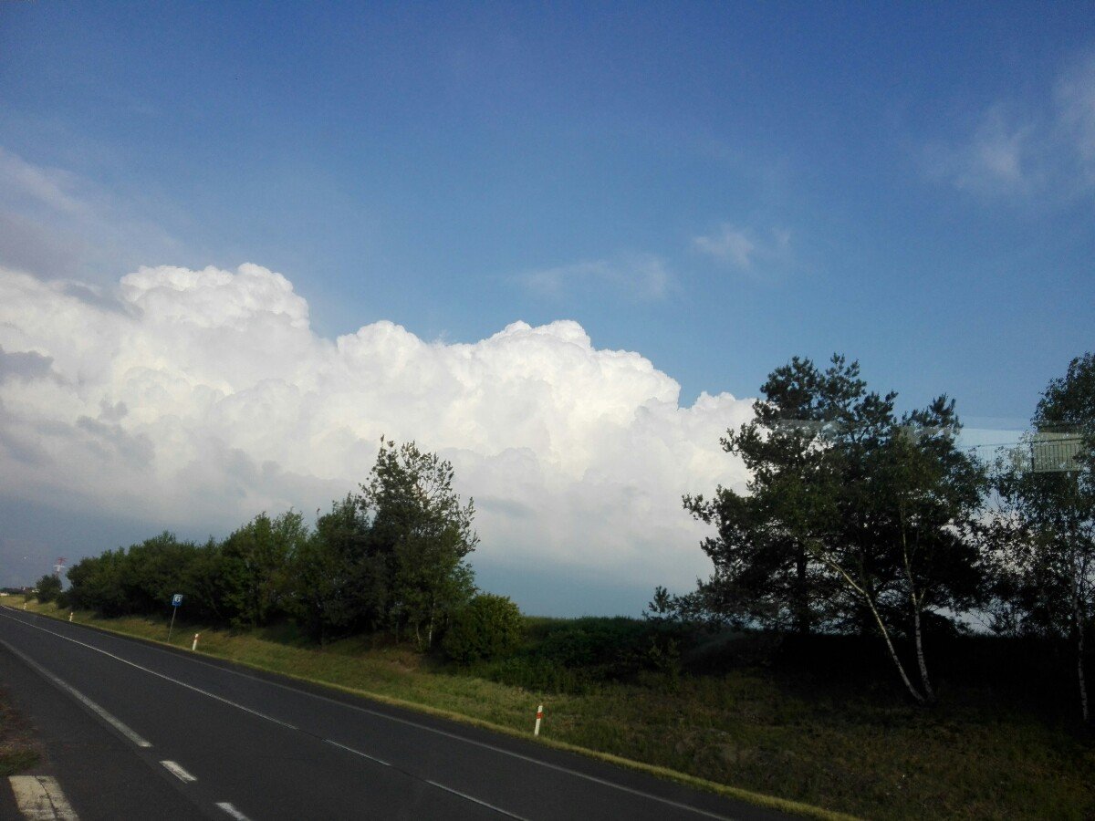 Slaný