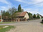Třibřichy