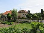 Třibřichy